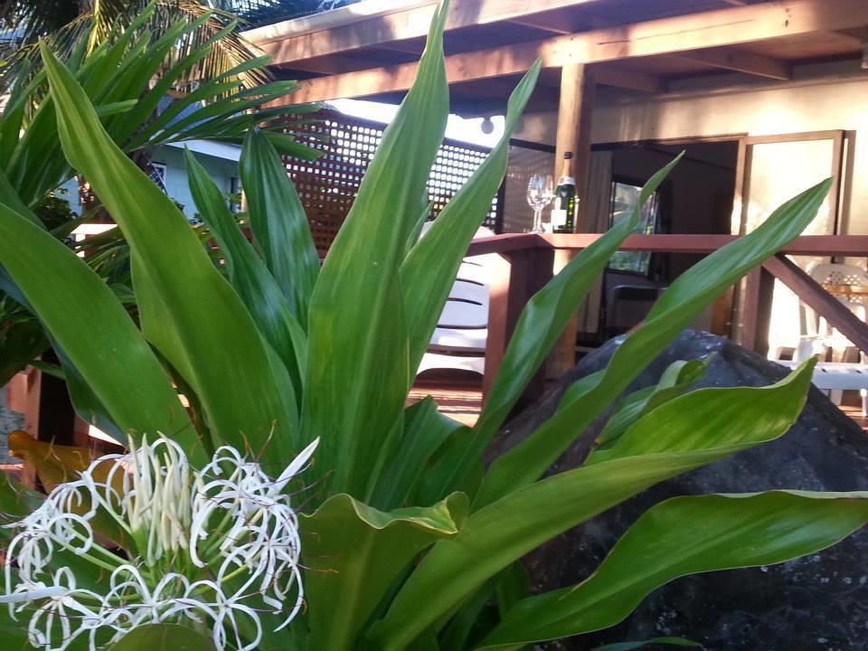 Sunset Palms Rarotonga Hotell Eksteriør bilde