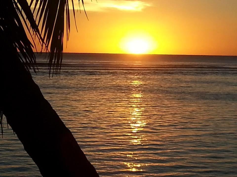 Sunset Palms Rarotonga Hotell Rom bilde